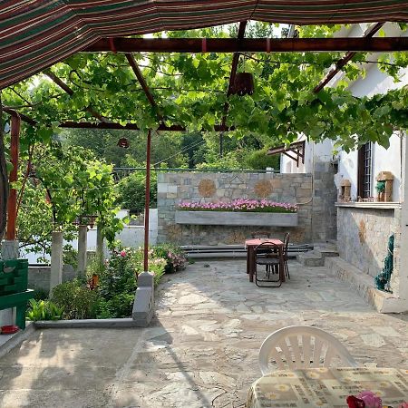 Η Θεα Traditional House Makrinítsa Esterno foto