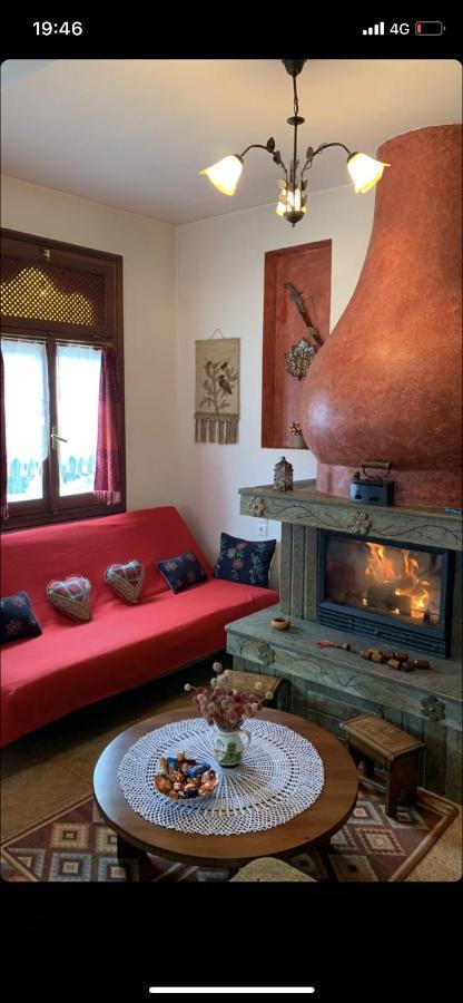 Η Θεα Traditional House Makrinítsa Esterno foto
